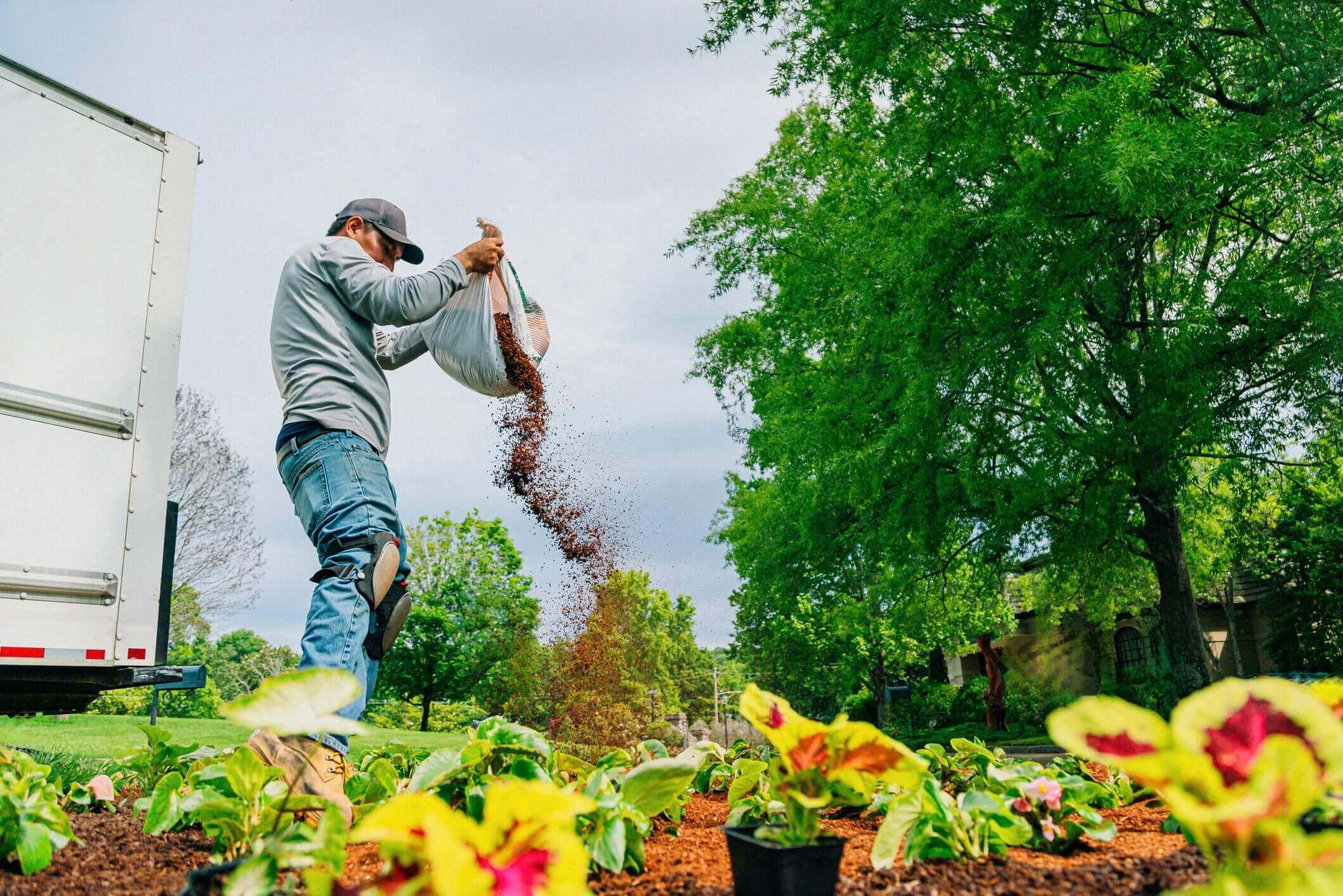 Gardener spreading soil in flower bed.
